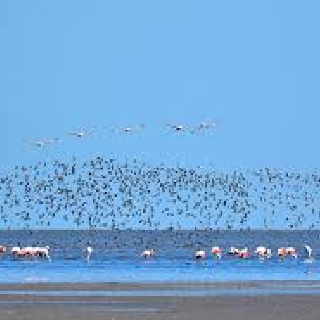 merlo-con-excursiones--feriado-de-junio-